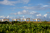 Turks & Caicos